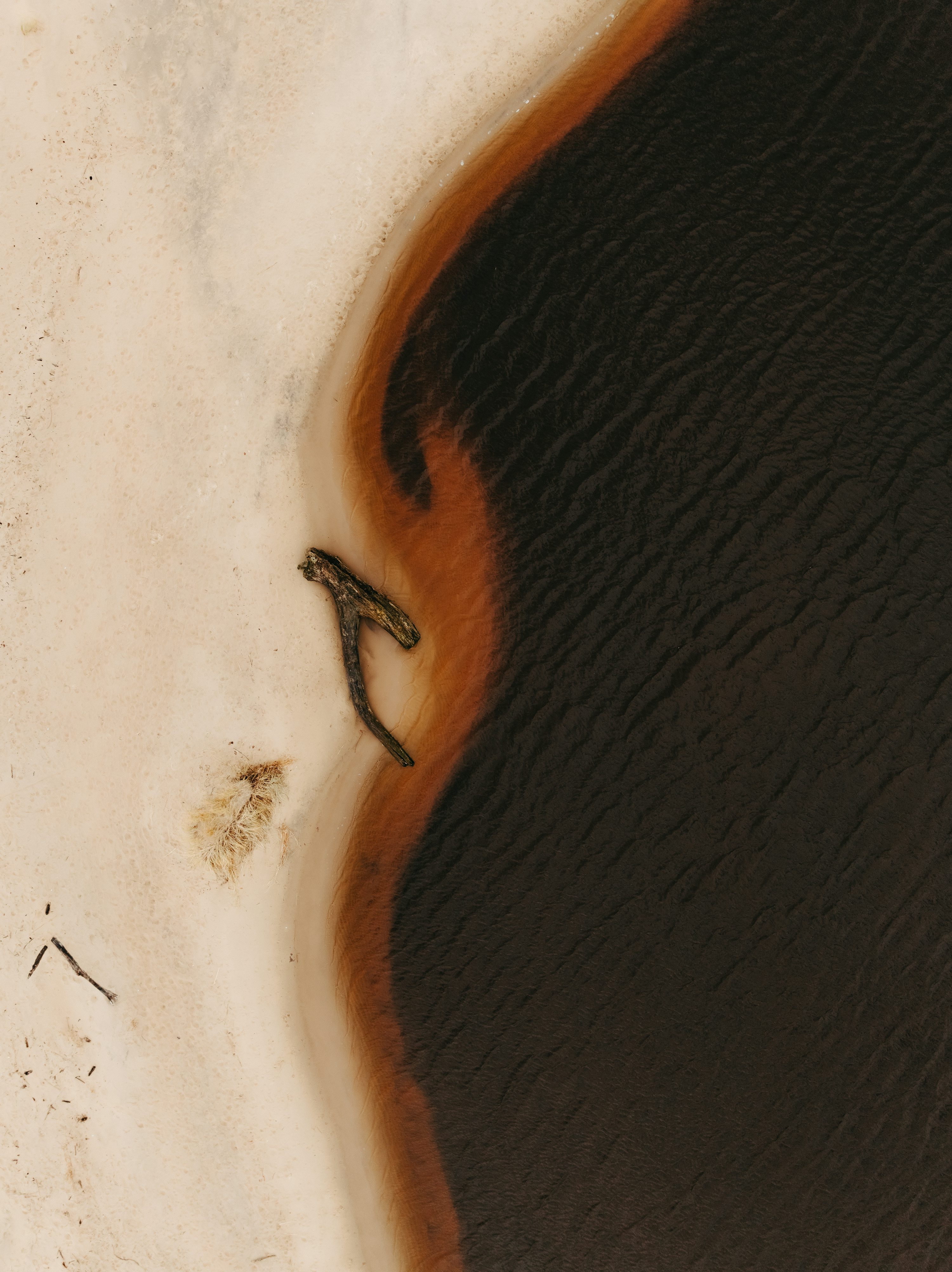 Cover Image of the Post