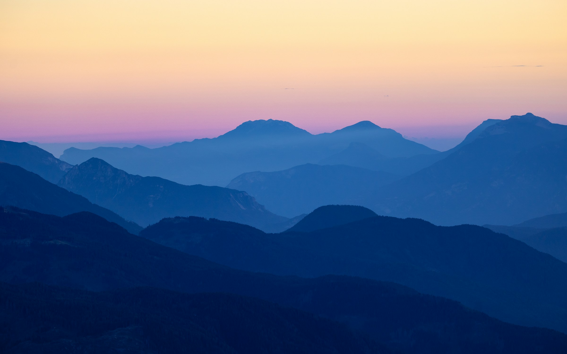 Banner image of the blog